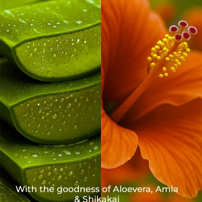 Aloehib shampoo Ingredients
