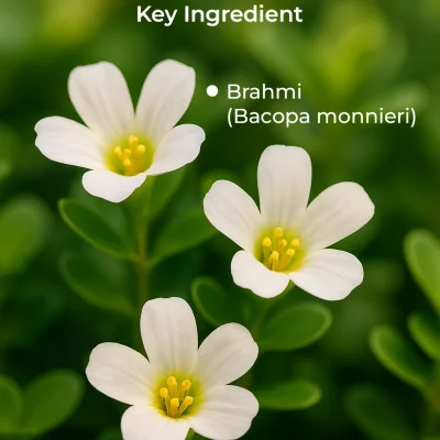Ingredient