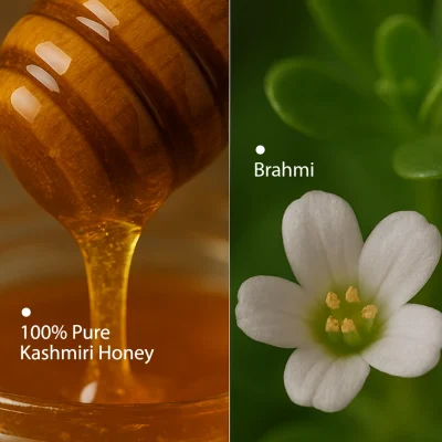 Ingredients (11)
