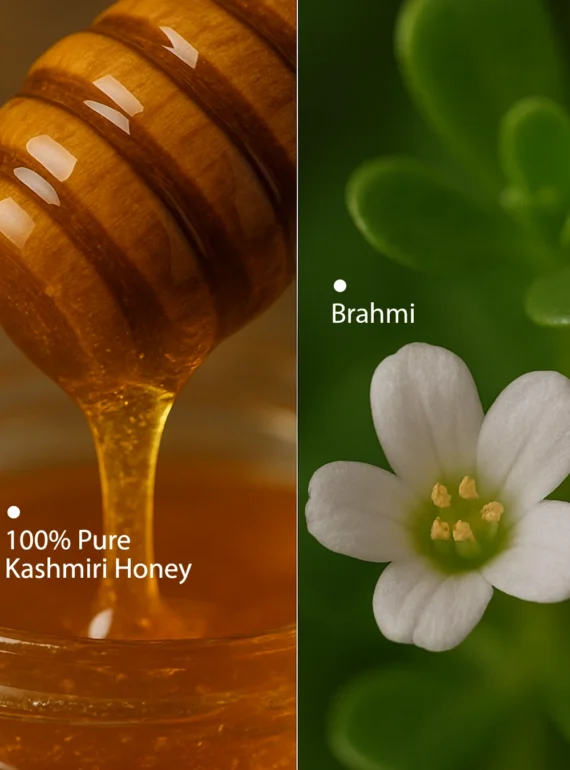 Ingredients (11)