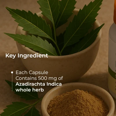 Ingredients (16)