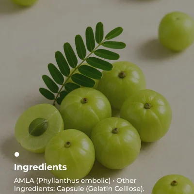Key Ingredients (3)