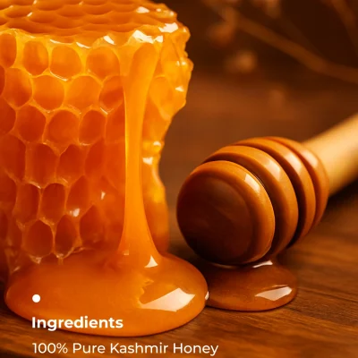 Key Ingredients -Turmeric