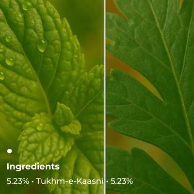 Key Ingredients(3)