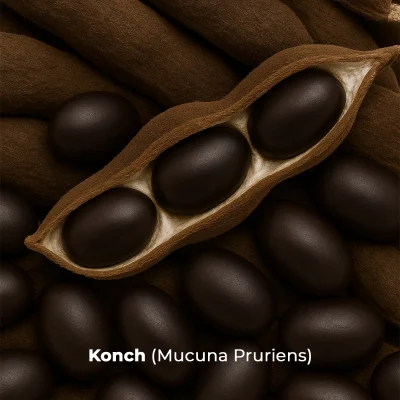 Konch Ingredients