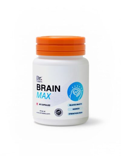 brain max fin