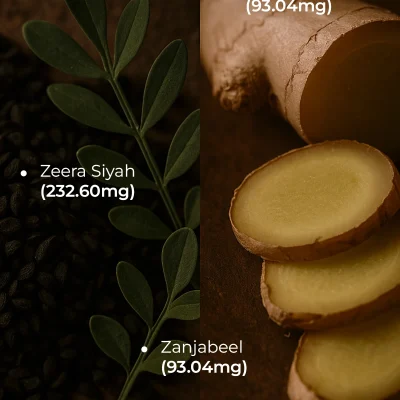 ingredients final (4)
