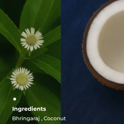 key Ingredients_