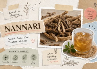 what-is-nannari-the-indian-root-with-powerful-health-benefits-1780310949962